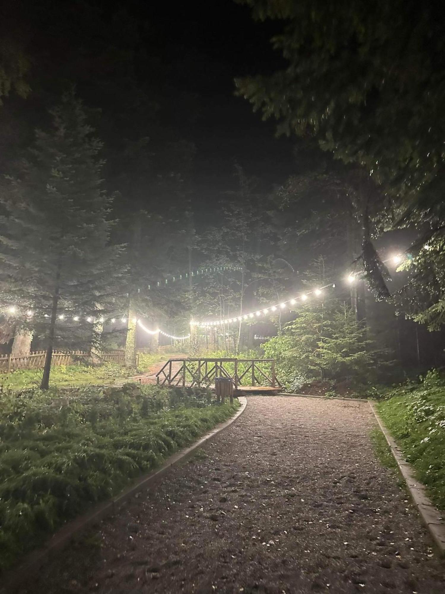 Cozy Riverside Pine Studio E5 بوروفتس المظهر الخارجي الصورة